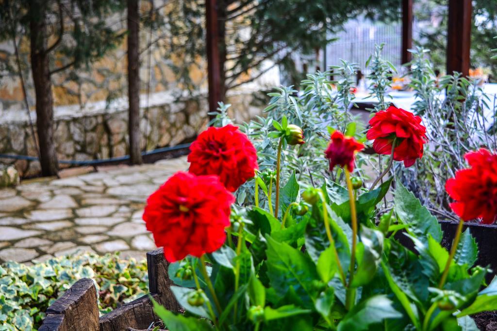 Villa En Arhi Ano Trikala Exterior foto